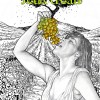 Upright Brewing - Jeux d'eau