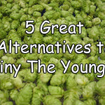 5 Great Alternatives to Pliny The Younger