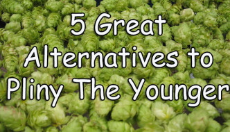 5 Great Alternatives to Pliny The Younger