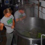 Odell Brewer’s mix local hops while brewing Handpicked Pale Ale 