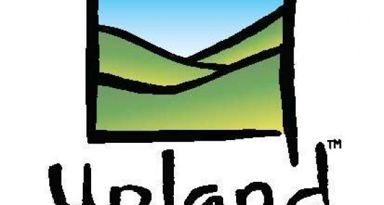 Upland Brewing Co