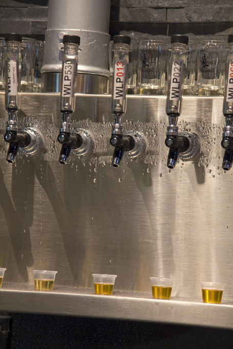 White Labs Tasting Room San Diego White Labs Tasting Room San Diego