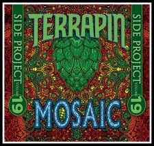 Terrapin Side Project 19 Mosaic