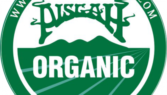 Pisgah Brewing
