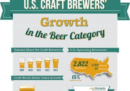 Brewers Association 2013 Craft Beer Infograph