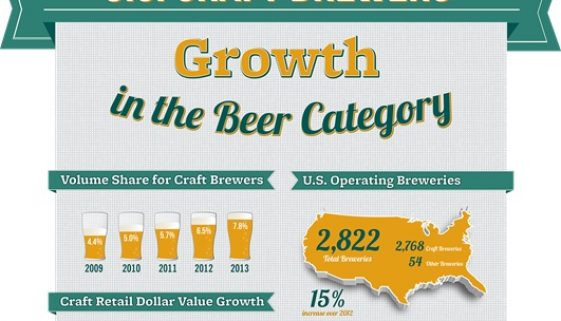 Brewers Association 2013 Craft Beer Infograph