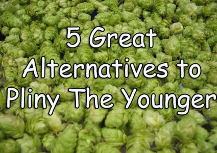 5 Great Alternatives to Pliny The Younger