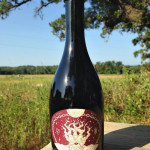 Jester King Biere De Syrah (Bottle)