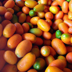 Texas Kumquats