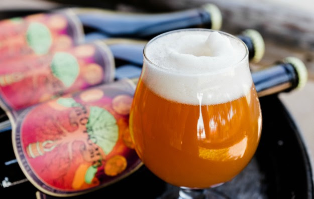 2016 Autumnal Dichotomous