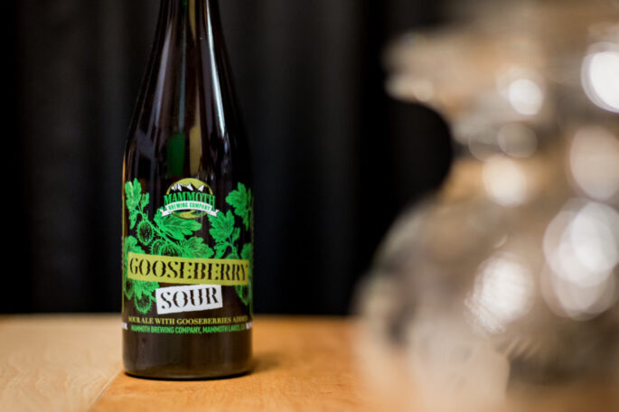 Mammoth Brewing Company - Gooseberry Sour - Small