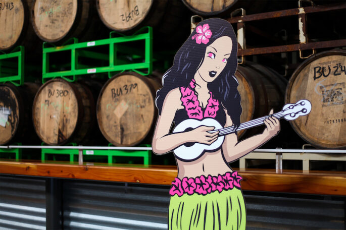 Green Flash Treasure Chest 2016 Promo