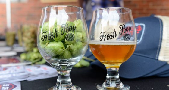 11th Annual Fresh Hop Festival Denver 11th Annual Fresh Hop Festival Denver