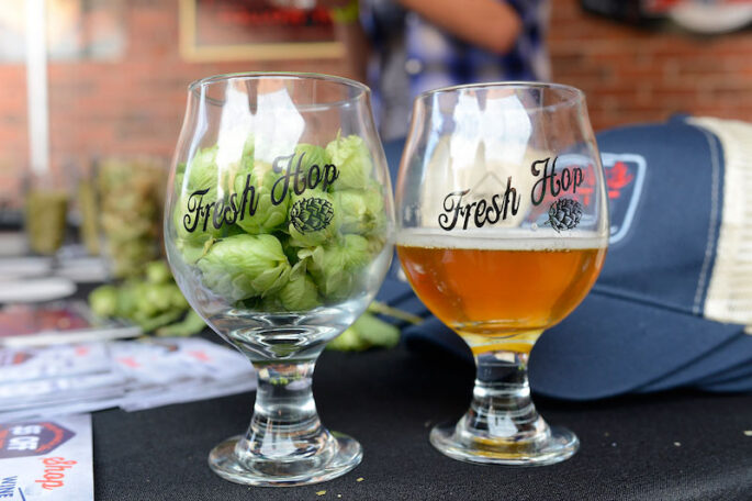 11th Annual Fresh Hop Festival Denver