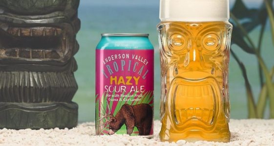 Anderson Valley Hazy Sour Ale