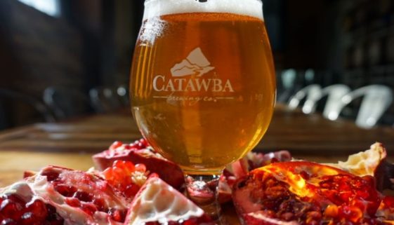 Catawba Pomegranate Sour