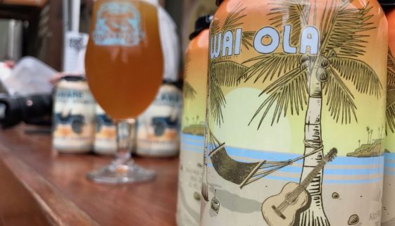 Crooked Hammock Wai Ola