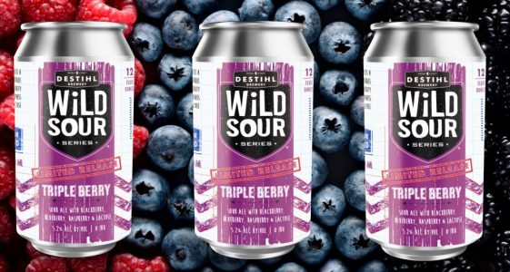 DESTIHL WILD SOUR TRIPLE BERRY