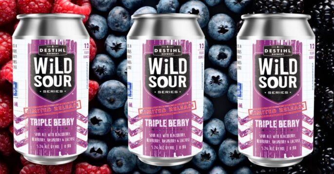 DESTIHL WILD SOUR TRIPLE BERRY