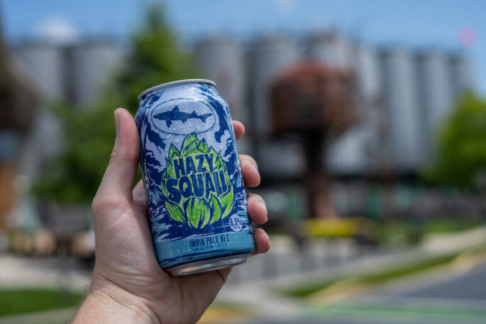 Dogfish Head Squall Hazy