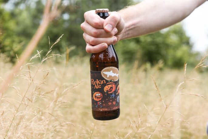 Dogfish Head Punkin Ale 2019