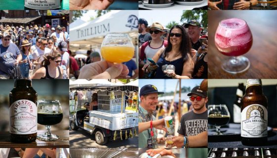 FWIBF-2019-Collage-LF