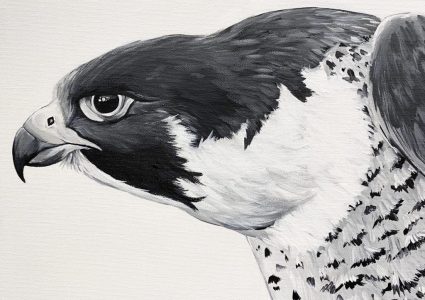 Ferrous Falcon