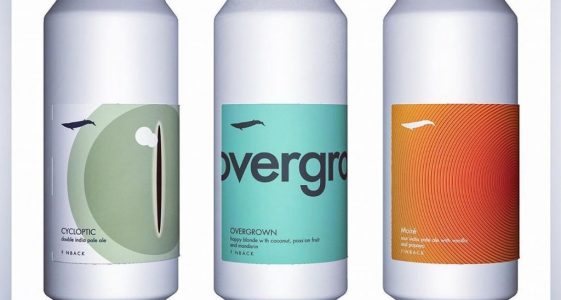 Finback Can Release Daily The Full Pint