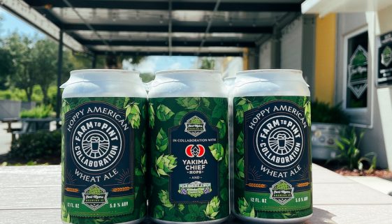 Ft Myers Brewing - Hoppy American Wheat Ale - Six-pack