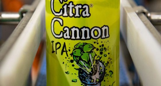 Heavy Seas Beer Citra Cannon