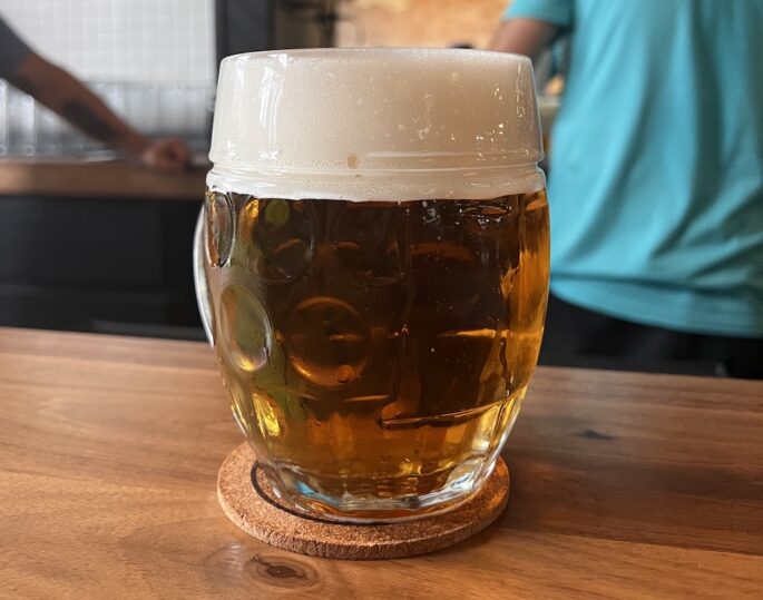 Human Robot Czech 10 Lager