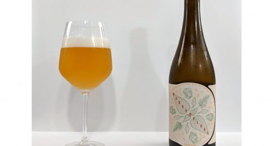 Jester King Wanderflora