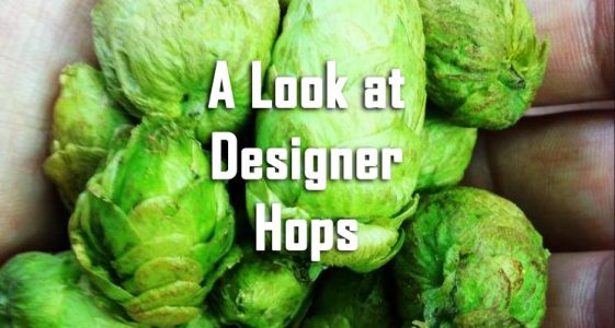 Look at Designer Hops