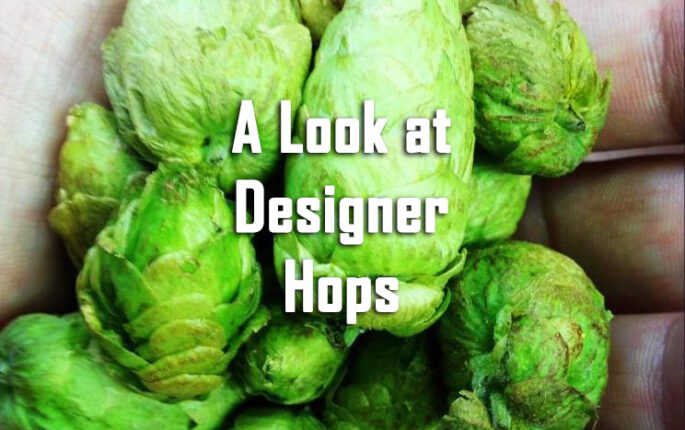 Look at Designer Hops