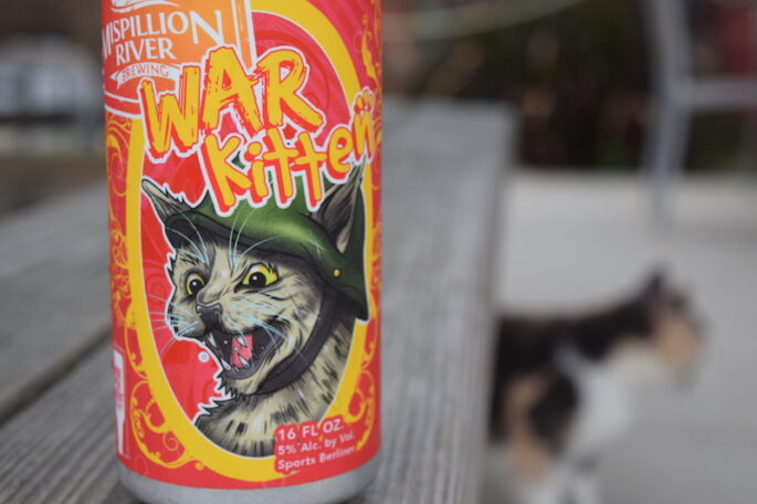 Mispillion War Kitten