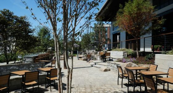 New Realm Brewing - Beer Garden