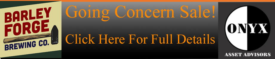 Going Concern Big 4