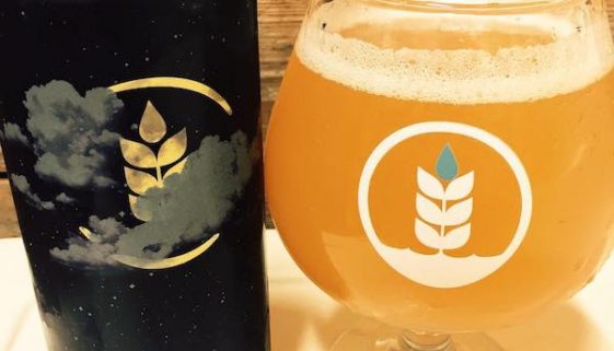 Pure Project Brewing