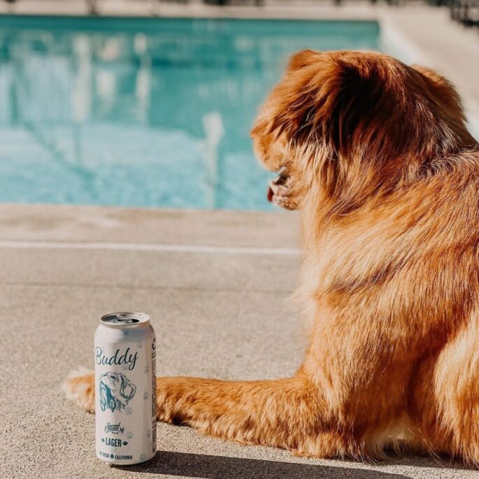 Second Chance Beer Buddy Lager