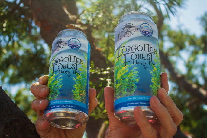 Smog City Forgotten Forest