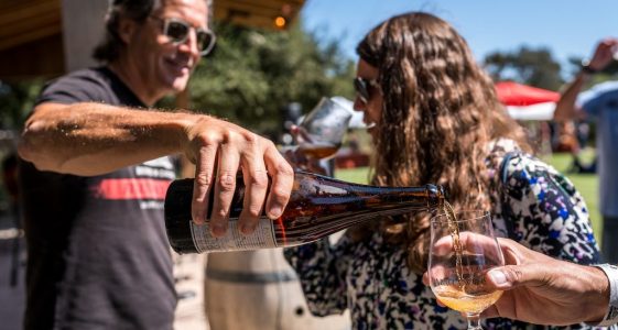 Terroir Project
