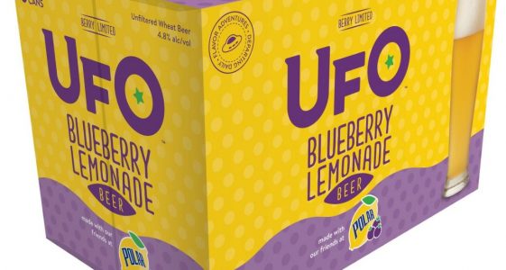 UFO Blueberry Lemonade Beer