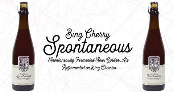 Wiley Roots - Bing Cherry Spontaneous Wiley Roots - Bing Cherry Spontaneous
