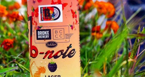 Bronx Brewery & Baldor Specialty Foods - B-Note Blackberry Lager