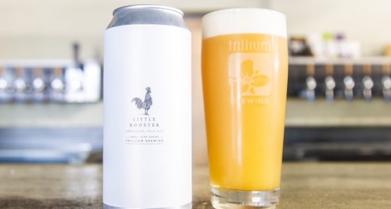 Trillium Little Rooster