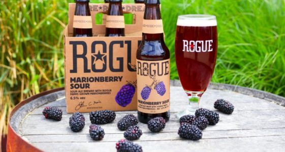 Rogue Marionberry Sour