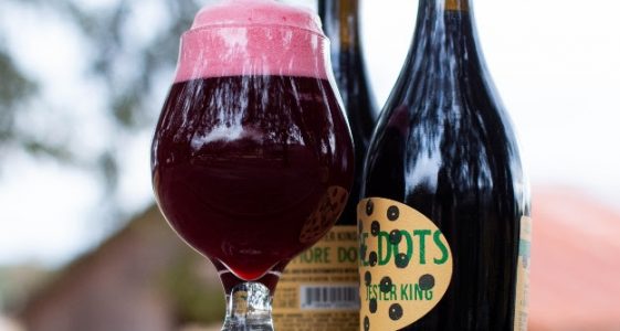 Jester King - More Dots